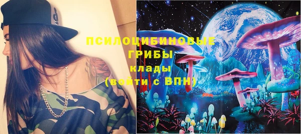 гидра Балахна