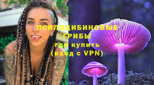 гидра Балахна