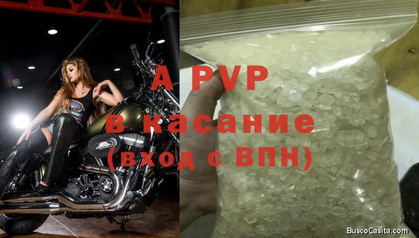 гидра Балахна