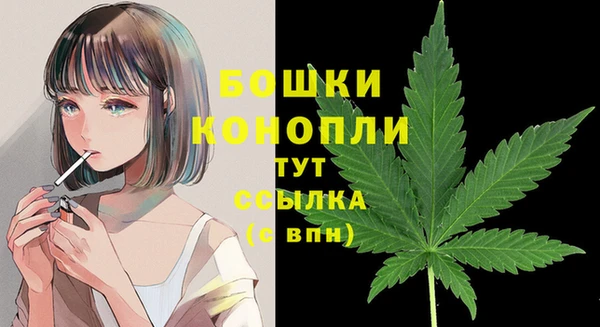 стаф Аркадак