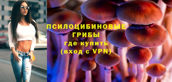 гидра Балахна